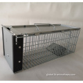 Wire Mesh Trap Cages live mouse cage plastic mouse trap humane Manufactory